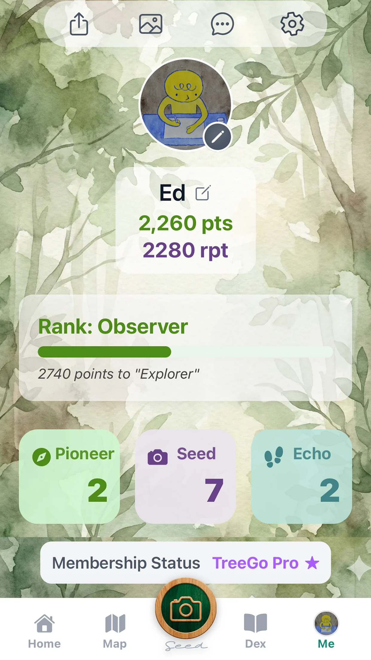 TreeGo profile and points system