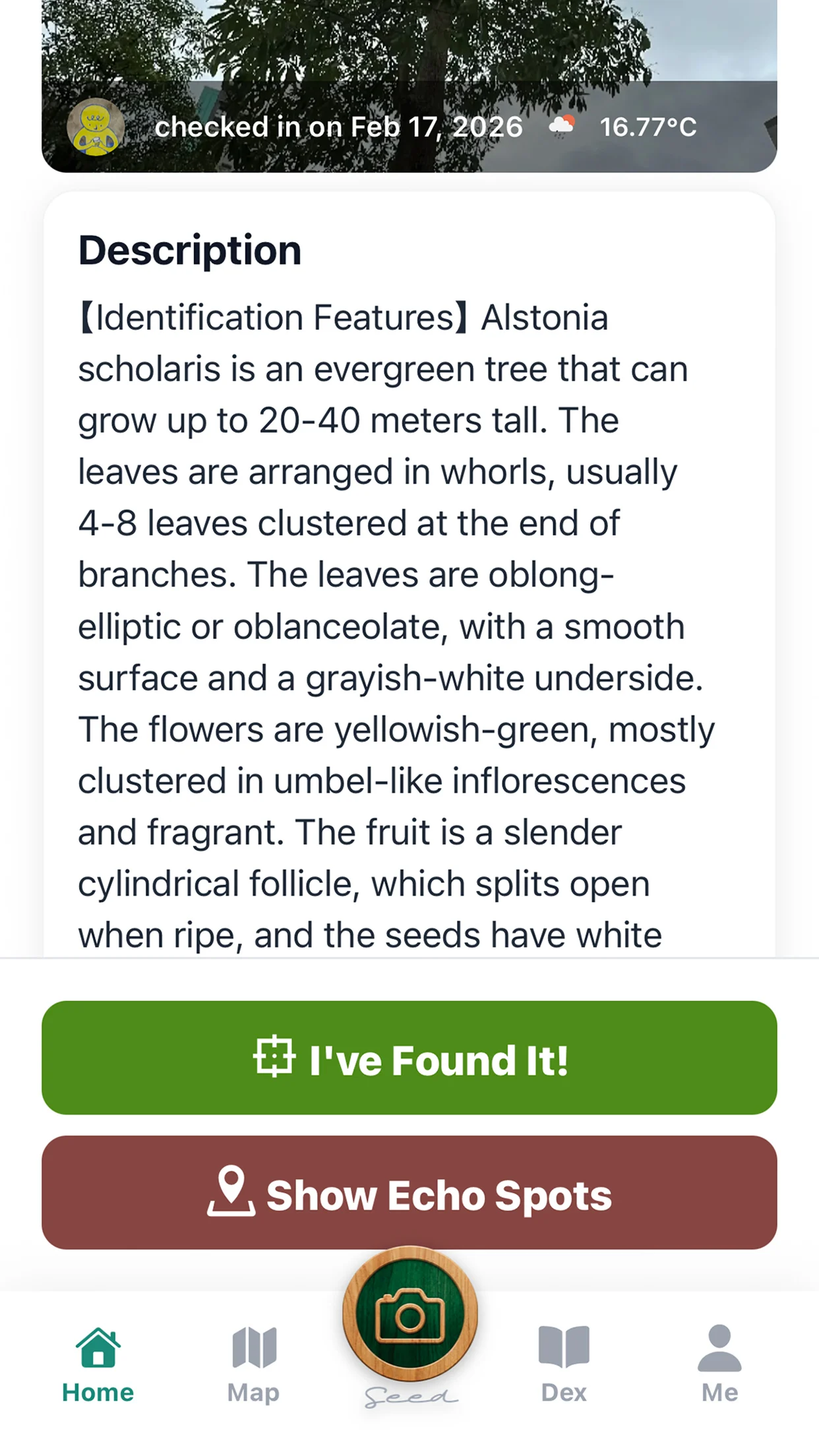 TreeGo species detail and check-in action